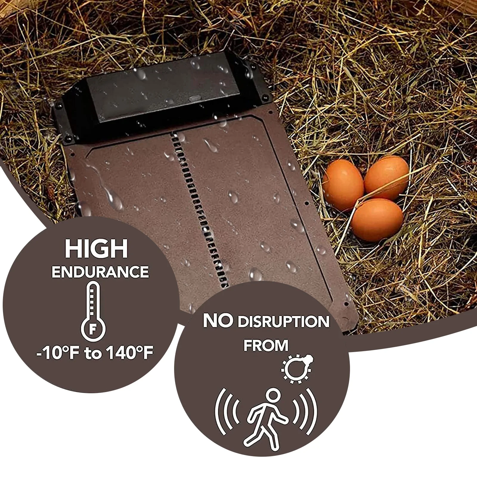 Automātiskā Chicken Coop, Durvis ar Gaismas Sensoru Augstās&Zemas Temperatūras Izturīgs Ūdensnecaurlaidīgs&Izturīgu Putnu Aizsardzības Durvīm 5
