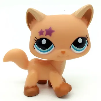 Reti Pet Shop Lps Rotaļlietas Pastāvīgā Maz Īsiem Matiem Kaķis Rozā #2291 pelēks #5 Melns #994 veco Oriģinālu Pet Rotaļlietas Kaķēns Bezmaksas Piegāde